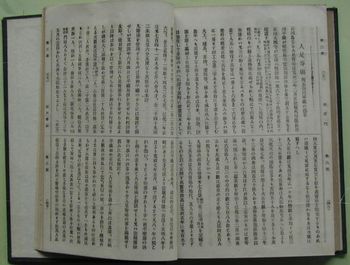 Kiji_1