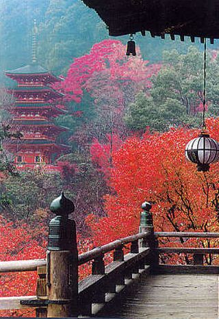 Photo_2