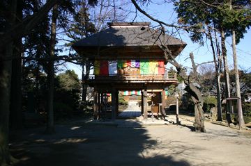 Photo_267